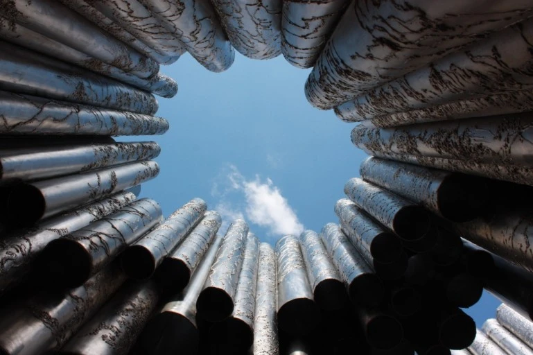 시베리우스.jfif