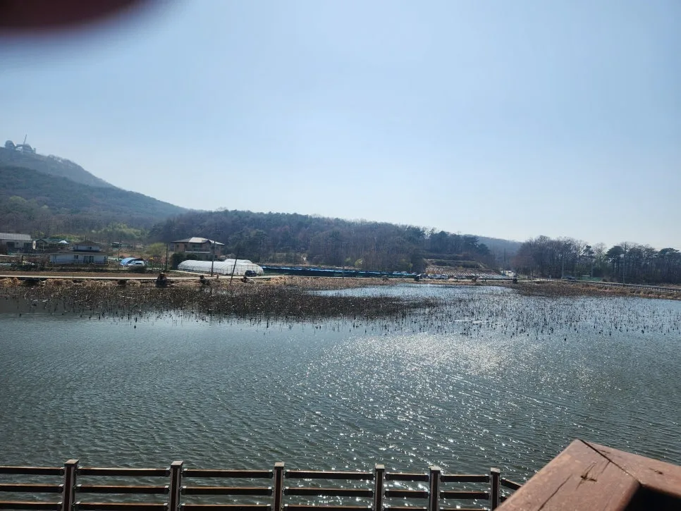 20250411_143641.jpg?type=w966