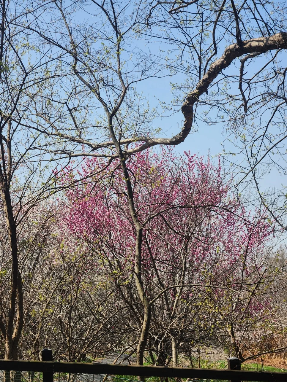 20250411_121616.jpg?type=w966