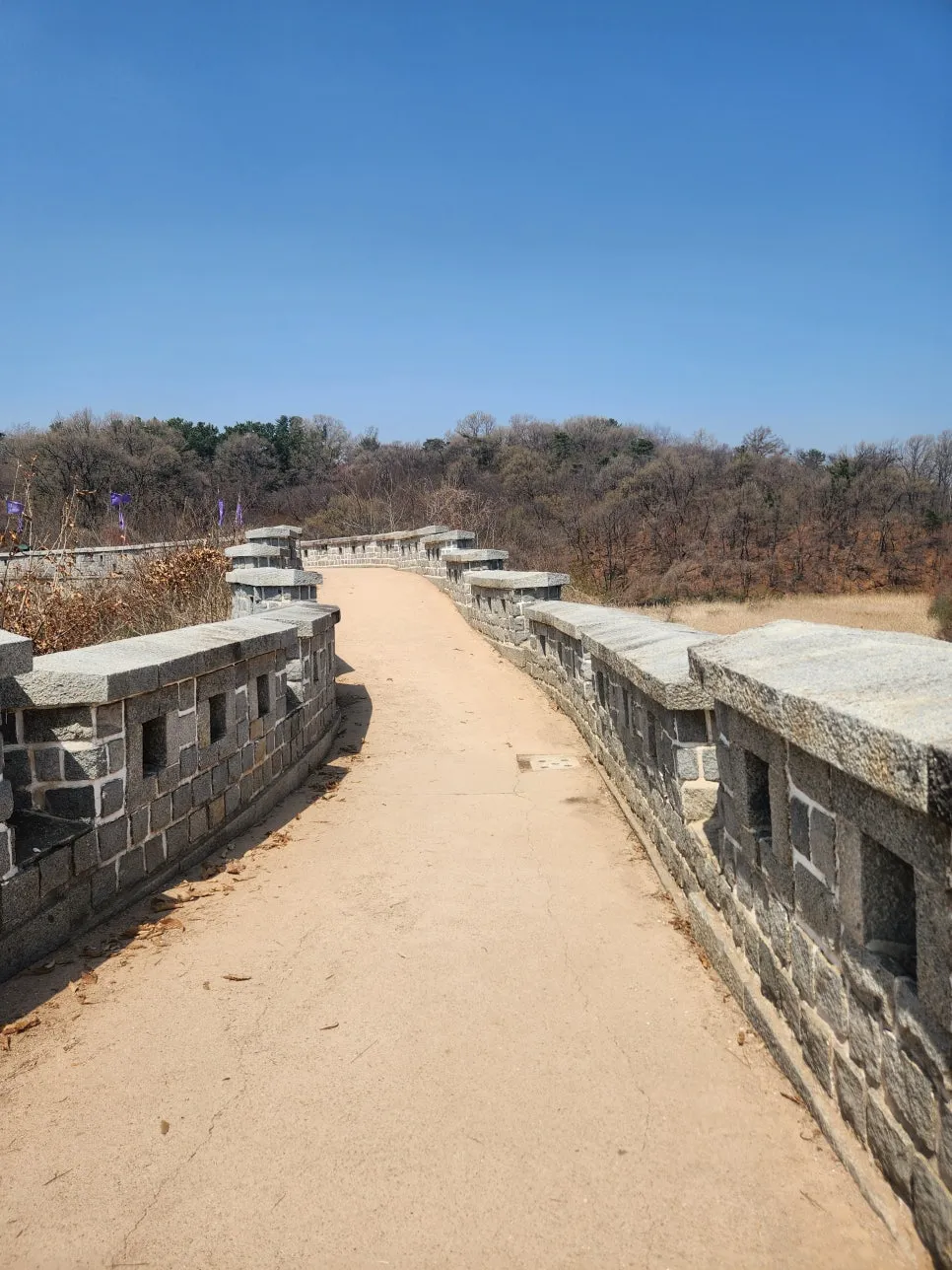 20250411_120635.jpg?type=w966