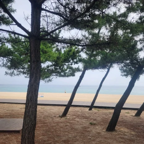 KakaoTalk_20250803_190234101_01.jpg?type=w466