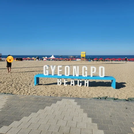 SE-8c4b9732-a307-45a4-ac63-0f788138d88d.jpg?type=w466