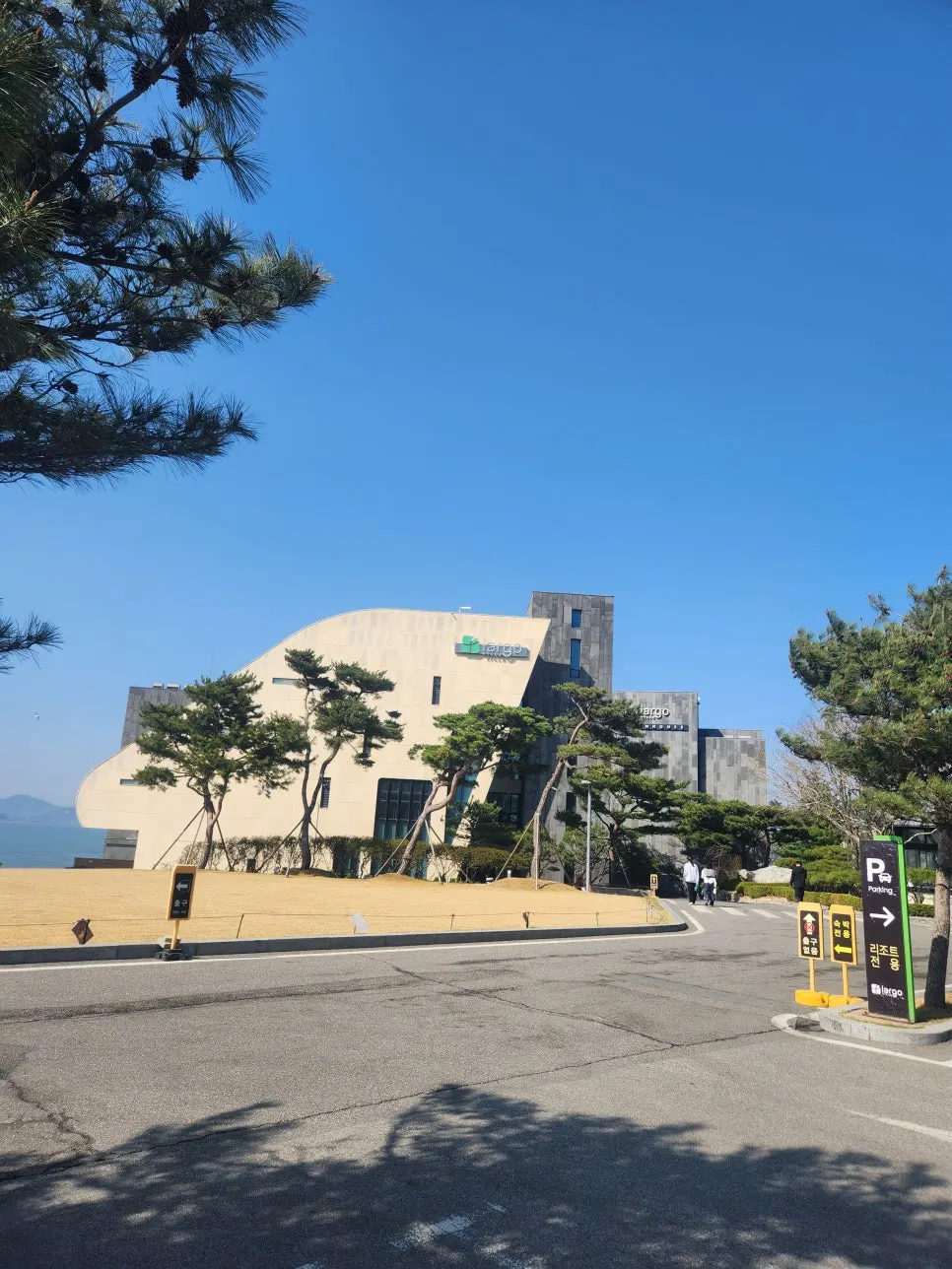 20250411_152504.jpg?type=w966