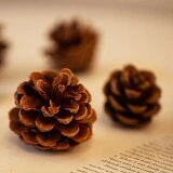 ?fname=http%3A%2F%2Fshop4.daumcdn.net%2Fshophow%2Fp%2FW15903917177.jpg%3Fut%3D20211231064125