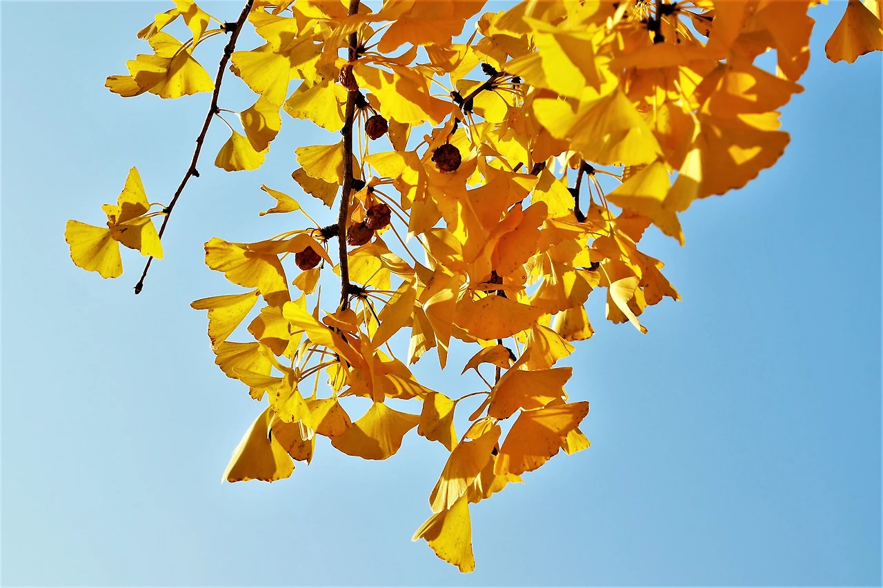 4827127083ed136d7d35ffec8e0d3a30ce992285