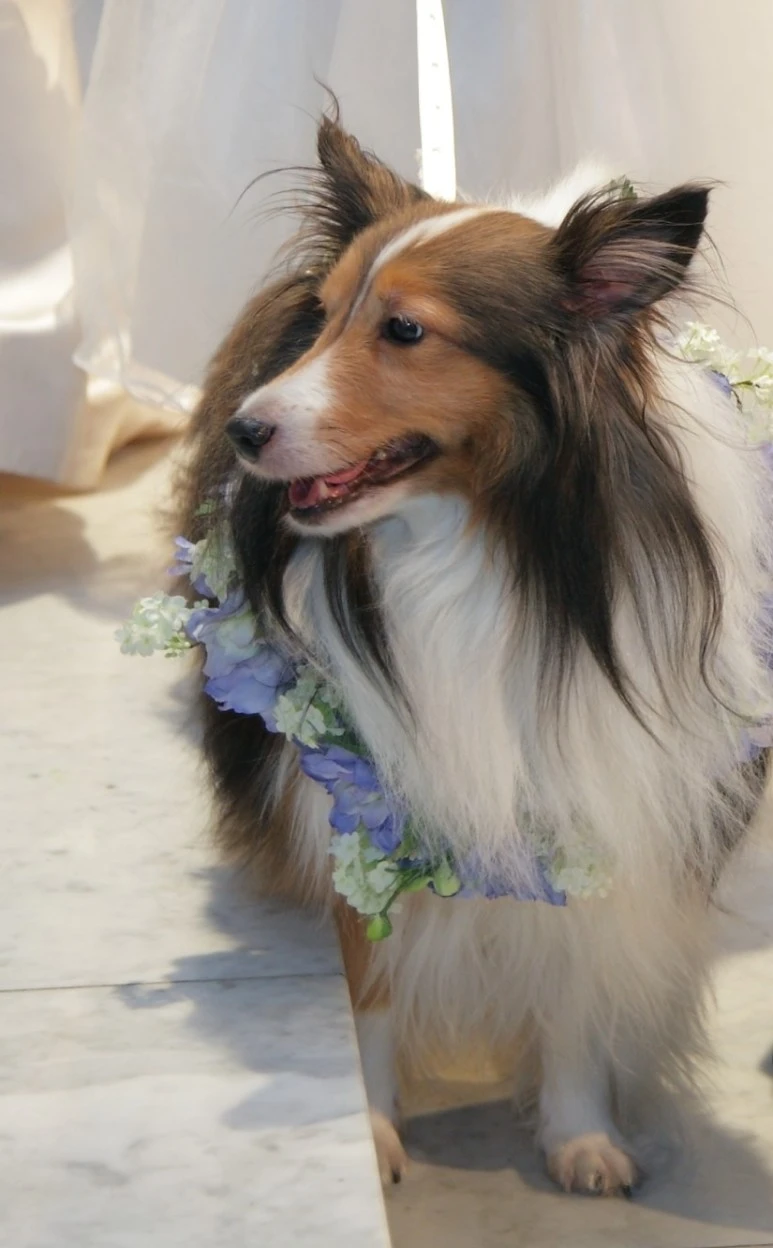 SE-d1d8821b-0731-42c7-8027-90c70a5b0290.jpg?type=w773