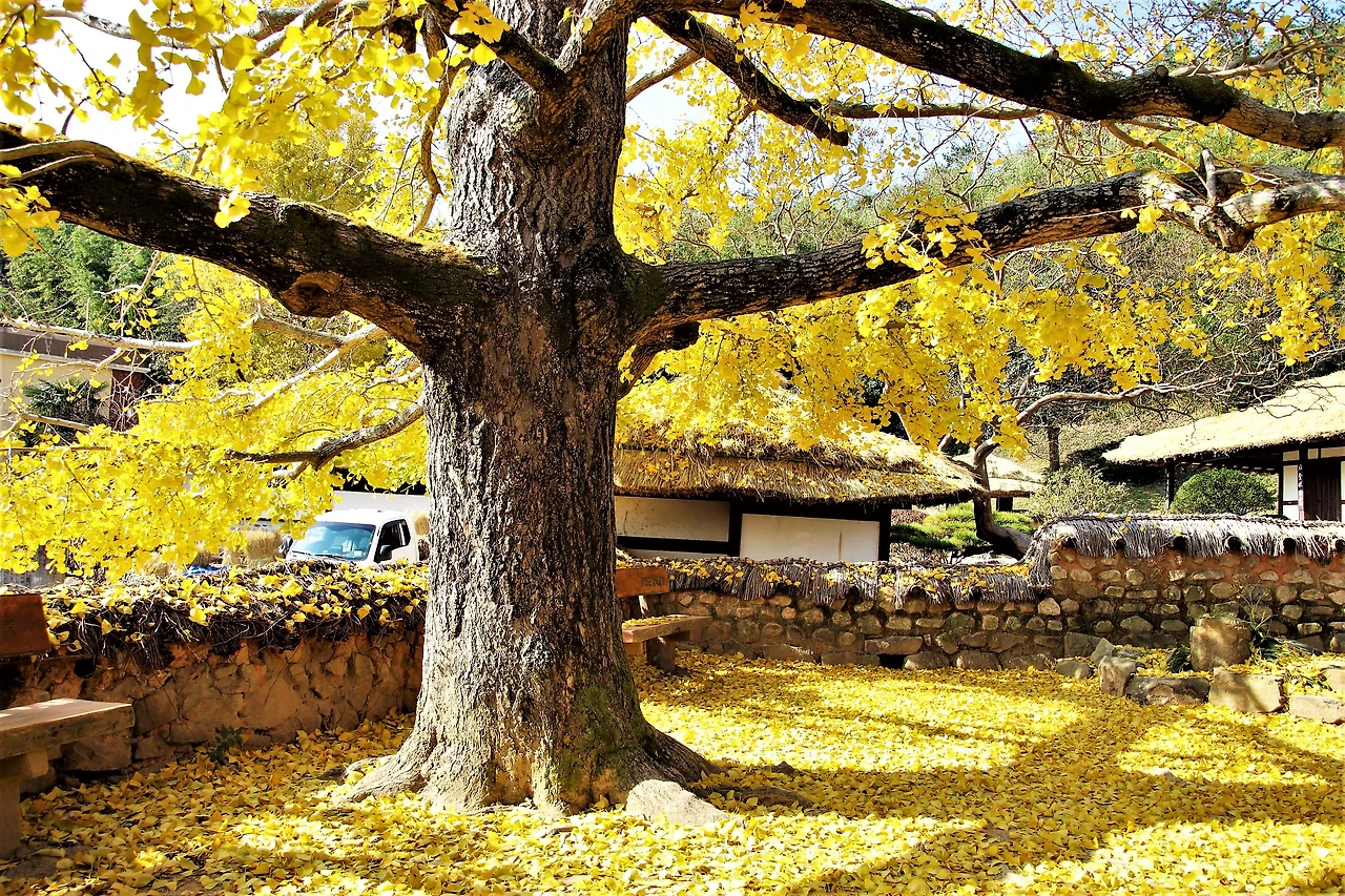 e914a8bb19e8f26620cd5ab2e5ab417d41ec50c9