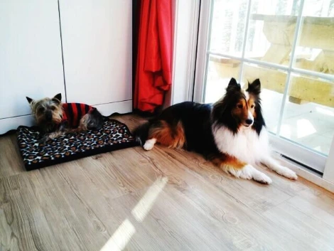 2018.3.31_%EB%9F%AD%ED%82%A4%EC%99%80_%EB%9E%84%ED%94%84_(2).jpeg?type=w773