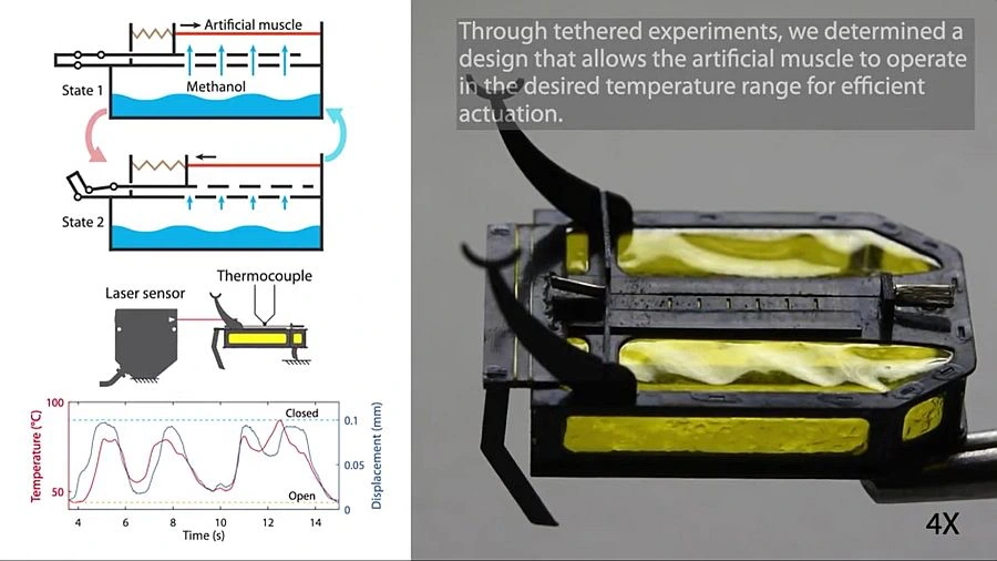UE8xXKORxisXSE3ePDLnnKwWMKppZg3CKTYhQ3KkReXBmGJ4LMopA4y0RJwpqNEmtY3mVYPeiVVnCUyrBqyrgDsHH3rMjyxeuXaf25-oADygqHsRoMRCAJ6fRwZJcLOuSgBh0I65