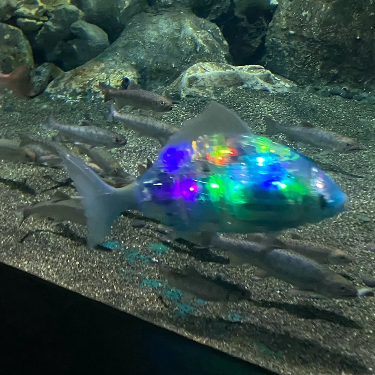 image_6195912791617178056464.jpg?type=w1200