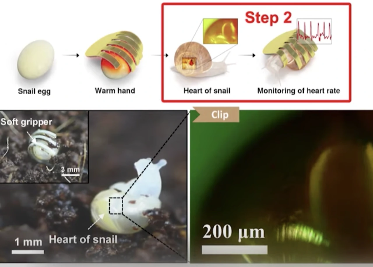 H_OA1ZW03KW8cg87nwVrY2m7ElwJ-J824z5HNl_ptORP28CYstXTEI1yx573KjivYdExdU3wUzNhf9EH6w-Axp_MOFbwi96nLQbynyE6VddyZupoPoCj6b5fkDMT_4SMcTs1GnDW