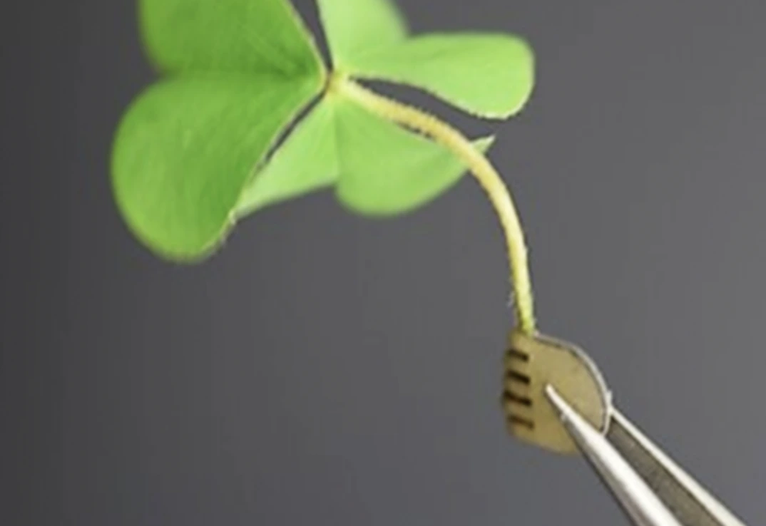 yN-8gGD14IQPLPMzoCO-DxjQe5vQxfcoDsdm0PKbJ6117NjYYldQEw69N5GuLQNoni-_AUF_iwvjioy_OiK-u9j37RS_jXezy-7L3i2zogIf9oNNvXDKfKu_2kxGomGLYgZZO4Qz