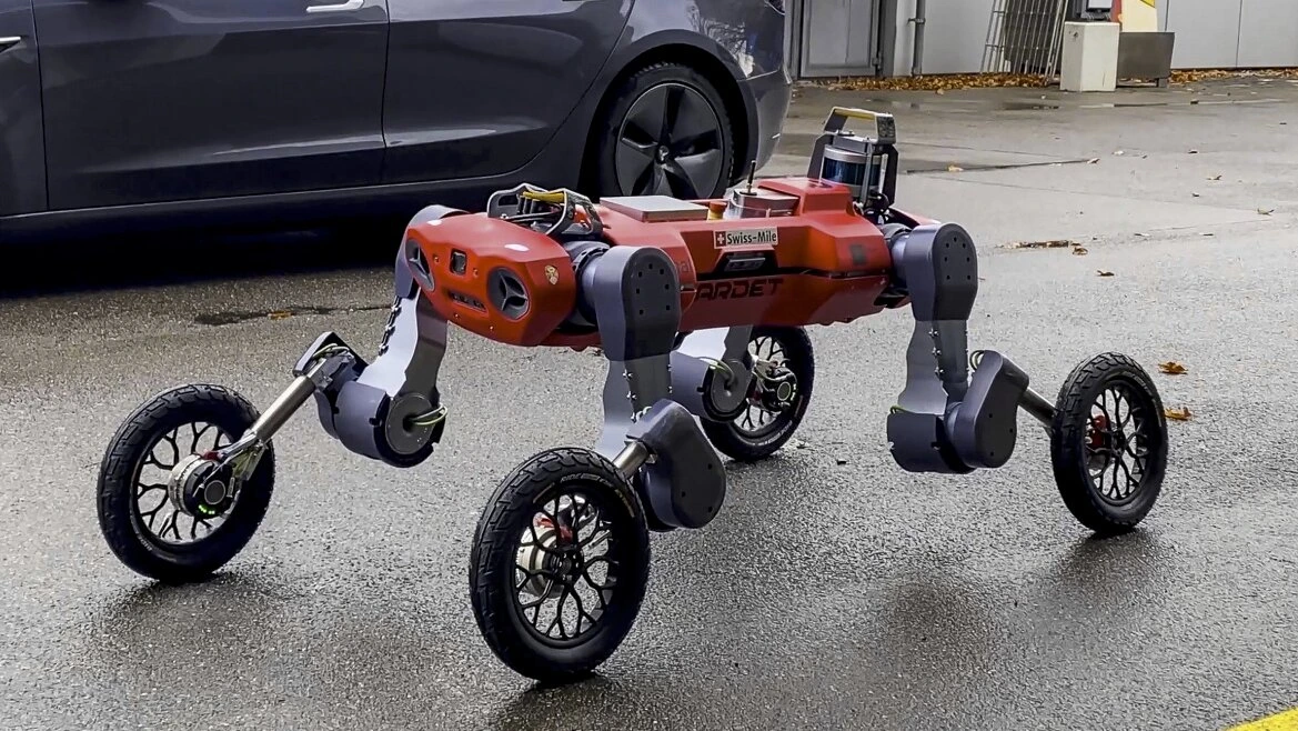 9vcrMY00kp2RtG2KfBvkhcSIZezNxBvrMY7v0cVYsjk8aLN0cFUiyfLC9b-Ktejjp_yx0pJR39HrZqxBNZZNDm7dS9Od6tTmq5TbuH_nERYrPqkpCdwSUAXWx46el9L9PGhvwlHM