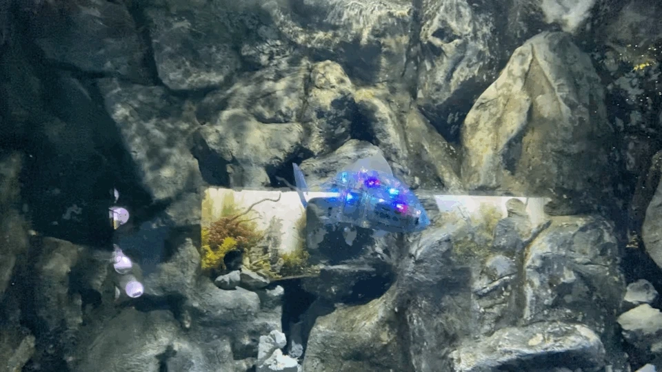 KakaoTalk_Photo_2021-03-31-17-07-11.gif?type=w1200