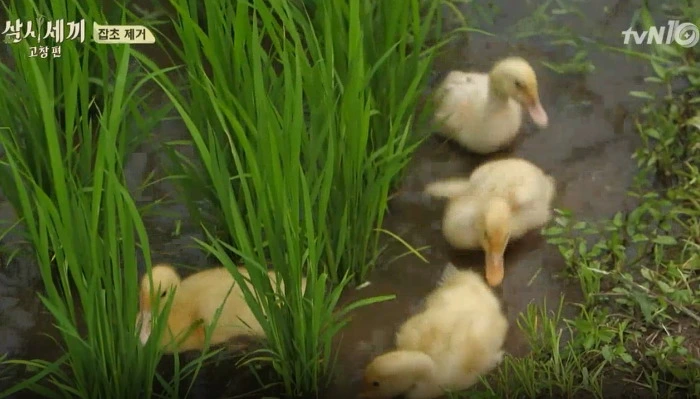 Jab2-FECoE9z_BdL-utdVR1ha-xlhPMSbrHsC_iagnn7ySghPDY09EfXwR7m9m_6NK562sgf1ShrosINeAAMl4q1up9orLcGrQkrfgBhjPcSdhjvXhX-JeUdtH9r2JcwWIht4Hg9