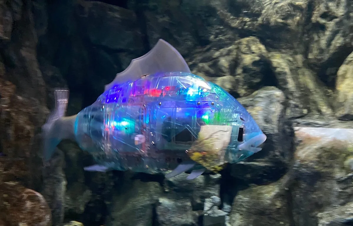 image_4903495691617178056464.jpg?type=w1200