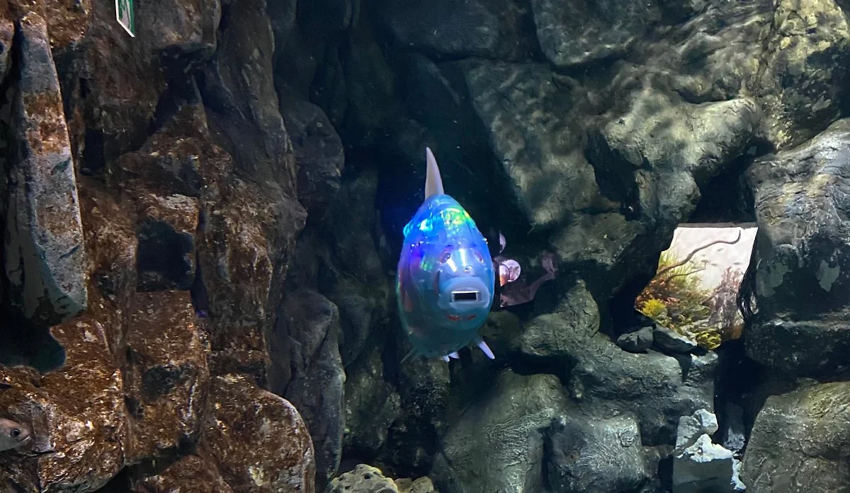 image_7150449631617178056463.jpg?type=w1200