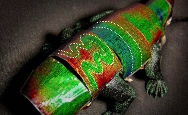 cwyXkSJaxTbDDJpffczoatlvlbO-_zMAAcvuUVXVLnTViM14fu6SJb3xLpKHsae1-bVeAg2YmIaXuMOvFF1iHvqWsHFVArzqE28rX9Zf9mb79V5hk3LS9BKAoQS3lWJzN8j9hSeX=s0