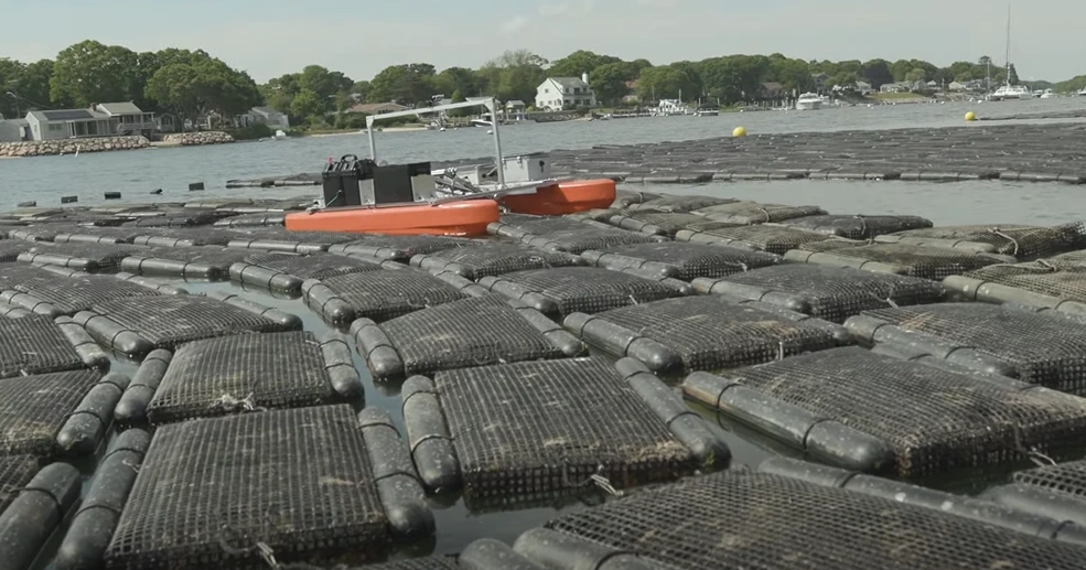 wZpcAiWY5ncACJEO4W6EyVWd6vsrhxzuqwKPaPCdPnM8fOkHOUwuDkzatOhpEtDYLqFGILnbdVrKErXd1vxtWZ0tVg_3vwsnZAem_4j8wgnu_iteZSrHXORMswWnTAMtqpVqmY7j