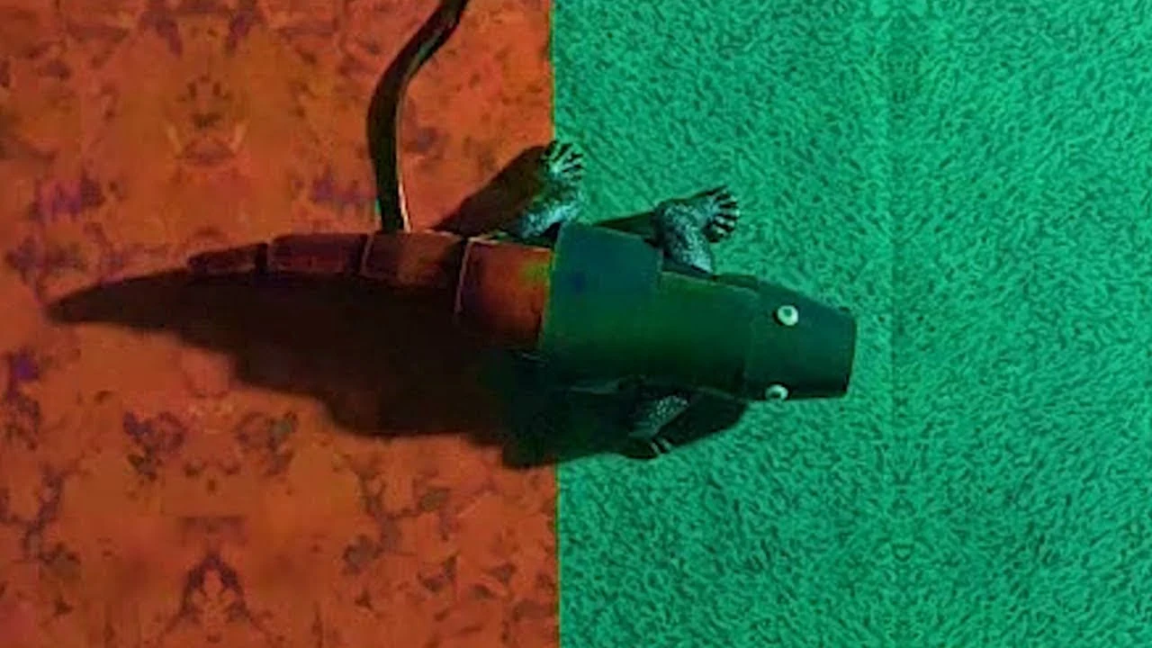 ouxRw8NrFDAVXUCf8gQn4Kd-NZQIlbSF9UjGOonABpLSY28Dc9T6MIvb9jHoZsACUAGMLszAFHJYgWYBAU2KXdq4TWNMd-hzvtiL5Dx_gzsvHiDpK_QYiURO-sQ7icnvMElAM4Dj=s0