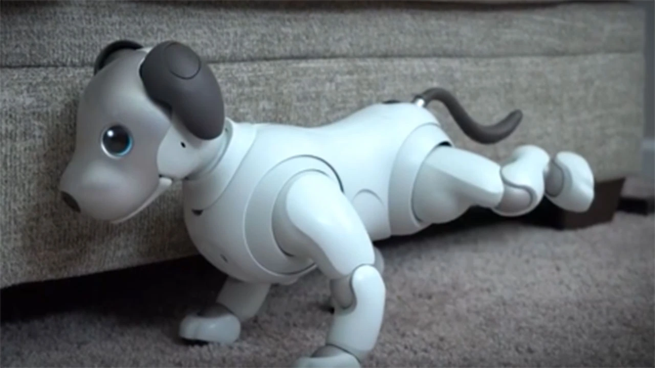 wCYm9JpJI3YQH_C5HOgC4MN0wIyTI9HdJg9v1bRi9CZHctxy2BLqIS_3tAkhqBhe2vAOB7e8Js0WwHnj28WuBn8fAEdEcRkItPWM9XKfeq6WUUwWDJy5ZA0iDzvKE8I4xDqrbJeL