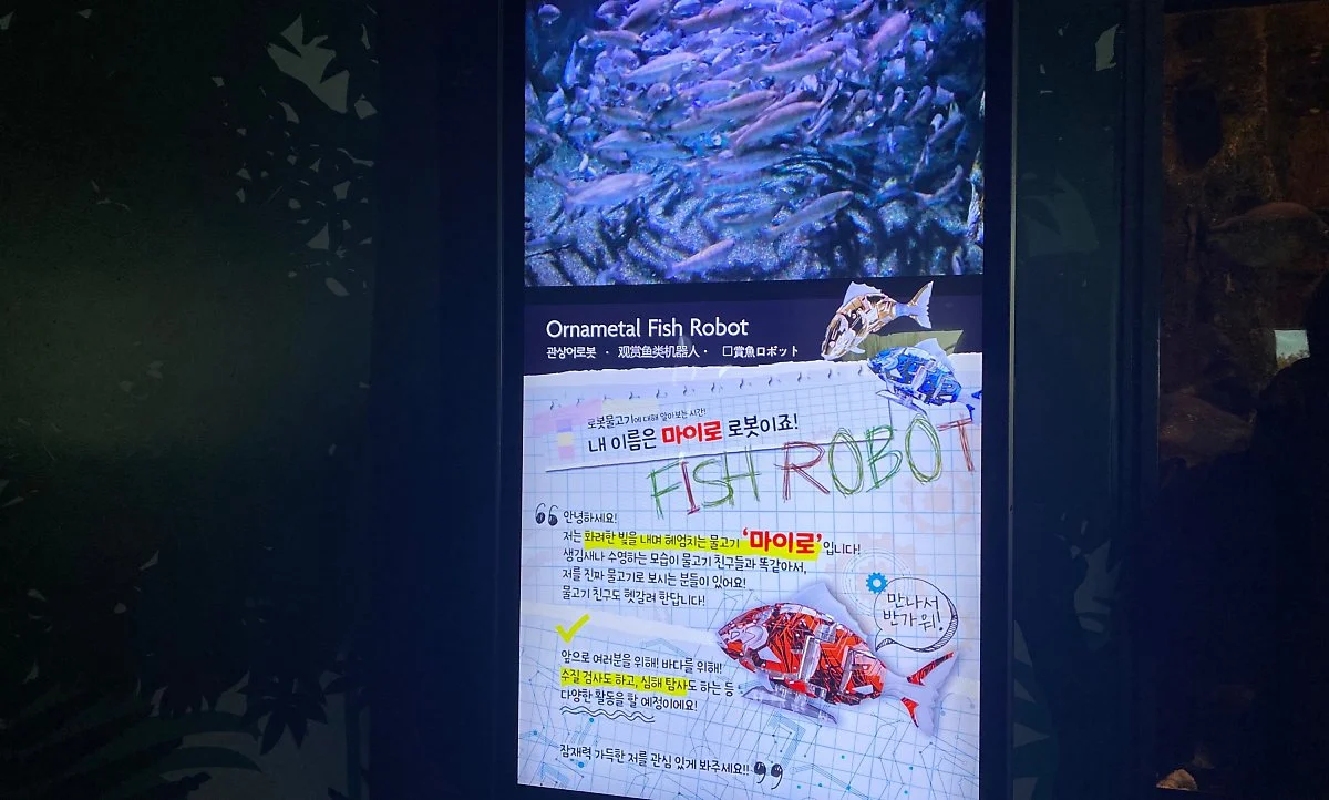 image_2171434911617178056464.jpg?type=w1200