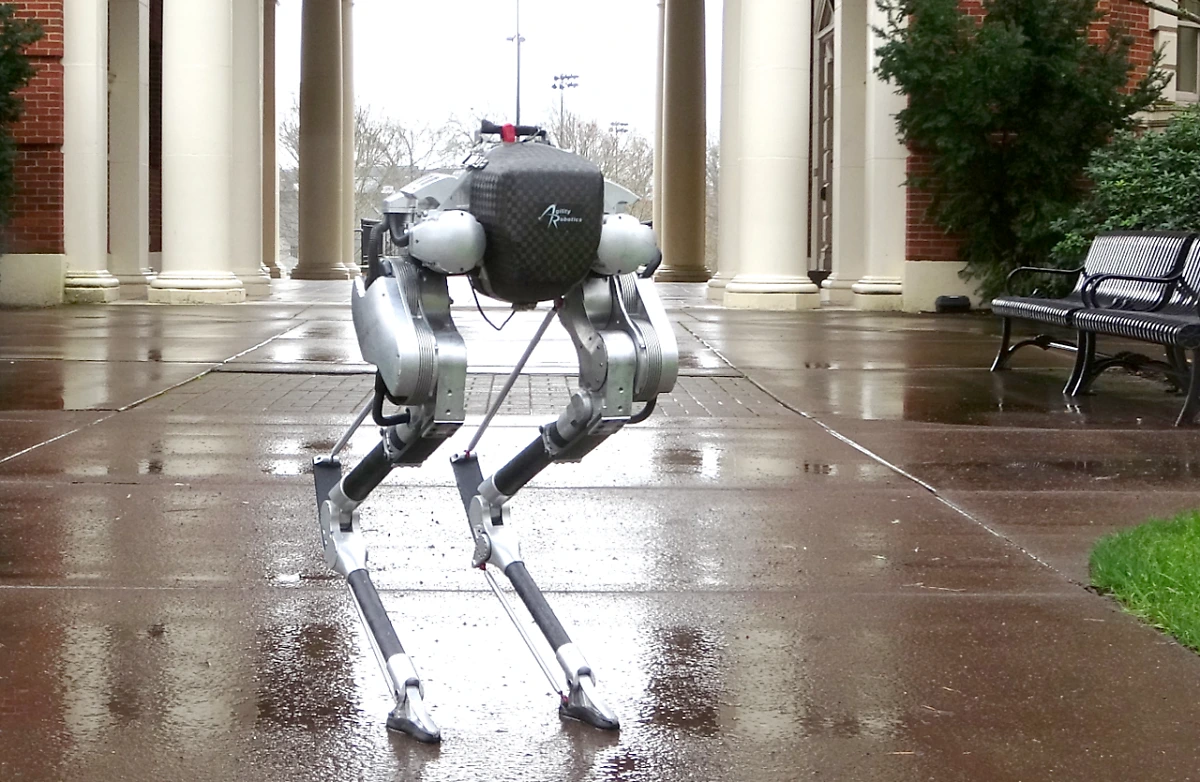 %EC%BA%90%EC%8B%9C1.png?type=w1200