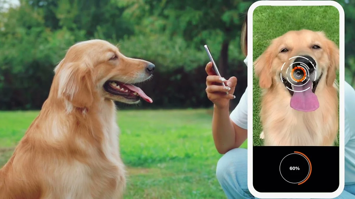 maxresdefault.jpg?type=w1200