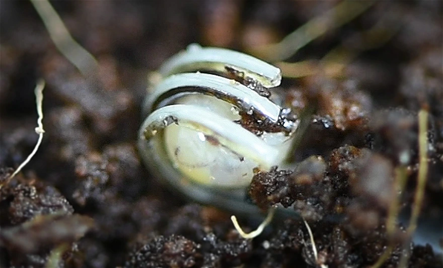 ANgj_YnZijWSkxXgKPn3DHZpFwHx1sKntdTl3YsFSmQl1obMcBc2TI6zaXuPOphfL9yGgyxJah6ioc2TjuE7kLKQOjy4DuZpB1M3Dic0cR78tIhs_uEwAtsrcVwUizg-av-Cd3y2