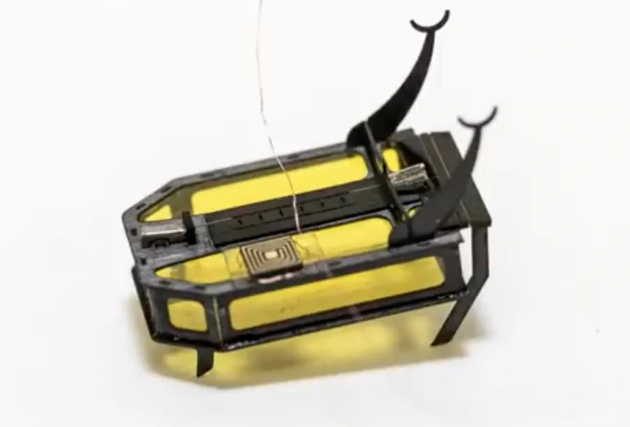 5kcMImL1QVqv0GMDYGzLBB4wtSWlTtRK8_BUvTKFXWdhMkK-0PTjfKJ9YraWw_horPt1h_Uj6b451Ldef5_6LA8zGkrPFSqpLa28Ht8XdyIZJLH_C7_FHeWxjevT3RK8rP_OrqGg