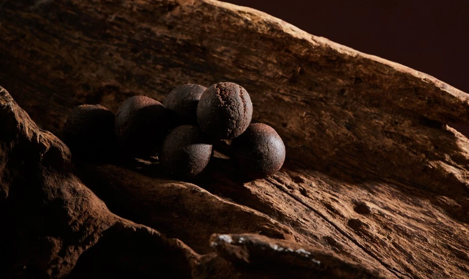 22279487-(1).jpg?type=w966