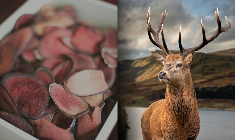 22279487-(1).jpg?type=w966