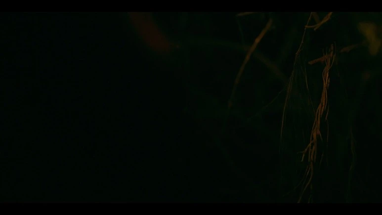 Kingdom.Ashin.of.the.North.2021.KOREAN.1080p.NF.WEBRip.DDP5.1.Atmos.x264-PAA.jpg?type=w773