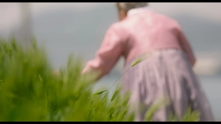 %EC%86%8C%ED%92%8D_Picnic,2024.720p.WEBRip.H264.AAC.mp4_20240326_225613.068.jpg?type=w773