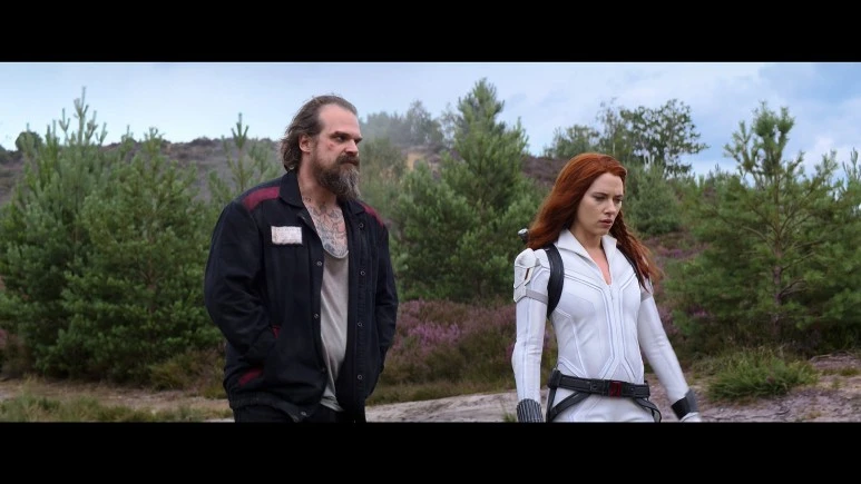 Black.Widow.2021.1080p.WEB.H264-TIMECUT.mkv_20210709_200515.538.jpg?type=w773