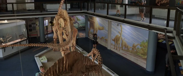 Afterlife.Of.The.Party.2021.1080p.WEBRip.x264-RARBG.mp4_20210904_181554.345.jpg?type=w773