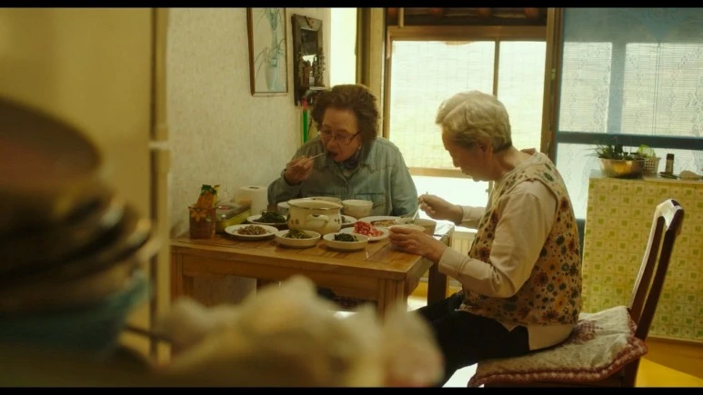 %EC%86%8C%ED%92%8D_Picnic,2024.720p.WEBRip.H264.AAC.mp4_20240326_225808.676.jpg?type=w773