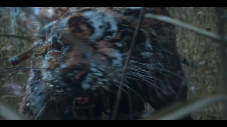 Kingdom.Ashin.of.the.North.2021.KOREAN.1080p.NF.WEBRip.DDP5.1.Atmos.x264-PAA.jpg?type=w773