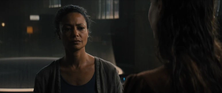 Reminiscence.2021.1080p.WEBRip.x265-RARBG.mp4_20210821_144143.767.jpg?type=w773