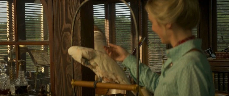 Jungle.Cruise.2021.1080p.WEBRip.x264-RARBG.mp4_20210730_211130.292.jpg?type=w773