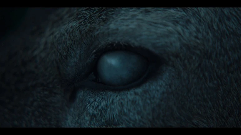 Kingdom.Ashin.of.the.North.2021.KOREAN.1080p.NF.WEBRip.DDP5.1.Atmos.x264-PAA.jpg?type=w773