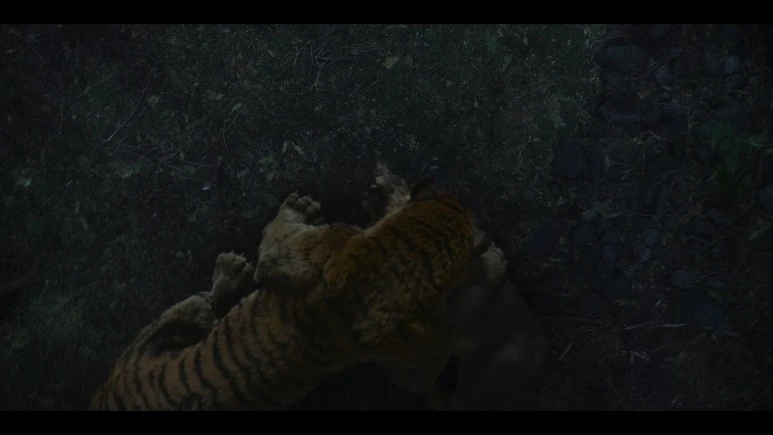 Kingdom.Ashin.of.the.North.2021.KOREAN.1080p.NF.WEBRip.DDP5.1.Atmos.x264-PAA.jpg?type=w773