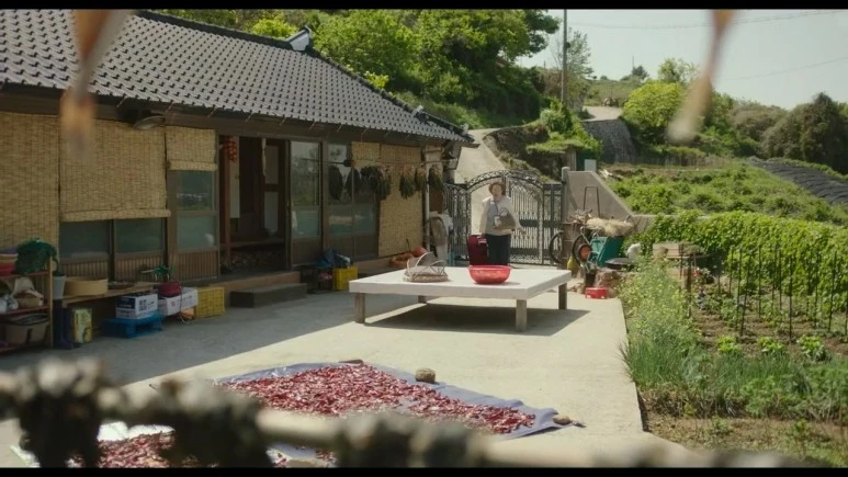 %EC%86%8C%ED%92%8D_Picnic,2024.720p.WEBRip.H264.AAC.mp4_20240326_225727.620.jpg?type=w773