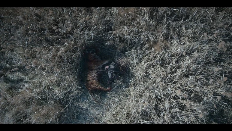 Kingdom.Ashin.of.the.North.2021.KOREAN.1080p.NF.WEBRip.DDP5.1.Atmos.x264-PAA.jpg?type=w773