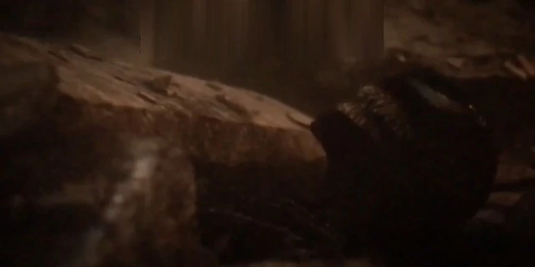 Venom_Let_There_Be_Carnage_(2021)_English_720p_CAMRip_NO_LOGO_x264_AAC_1.2GB.jpg?type=w773