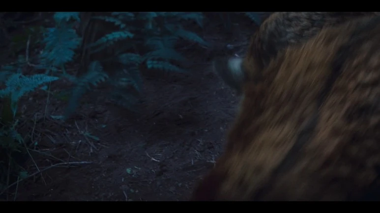 Kingdom.Ashin.of.the.North.2021.KOREAN.1080p.NF.WEBRip.DDP5.1.Atmos.x264-PAA.jpg?type=w773