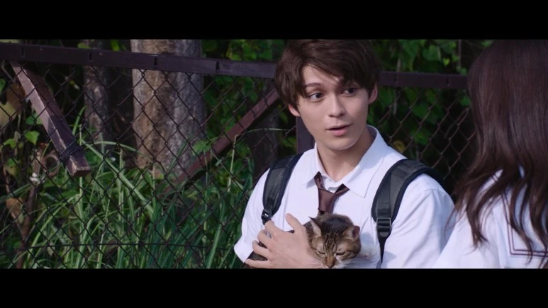 Re.Member.2022.720p.NF.WEB-DL.DUAL.DDP5.1.H.264-WDYM.mkv_20230214_201126.204.jpg?type=w773