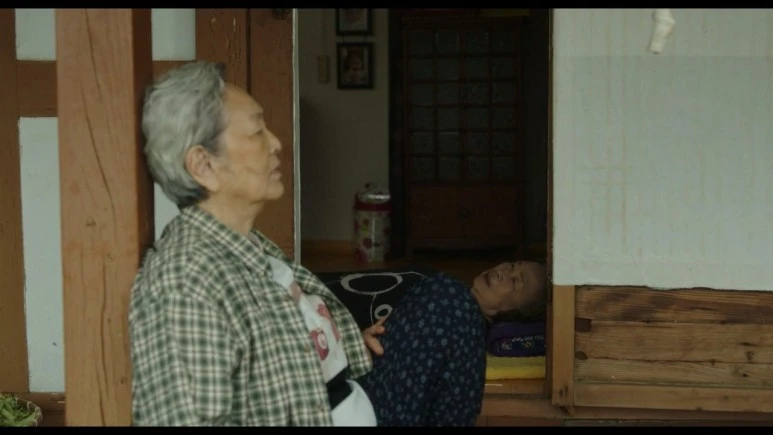 %EC%86%8C%ED%92%8D_Picnic,2024.720p.WEBRip.H264.AAC.mp4_20240326_230112.659.jpg?type=w773