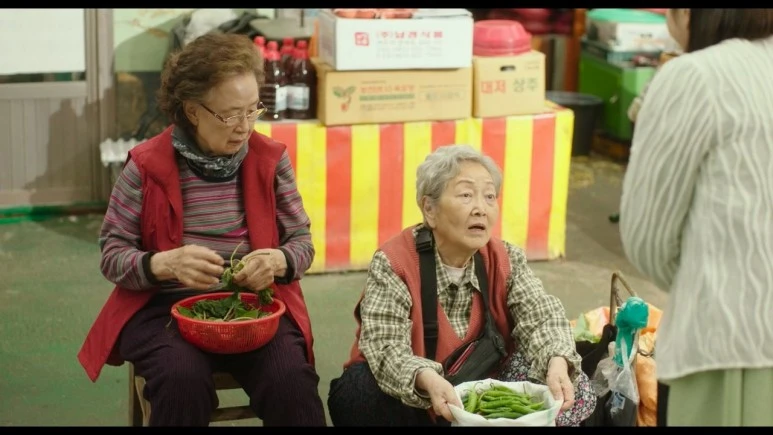 %EC%86%8C%ED%92%8D_Picnic,2024.720p.WEBRip.H264.AAC.mp4_20240326_230011.452.jpg?type=w773