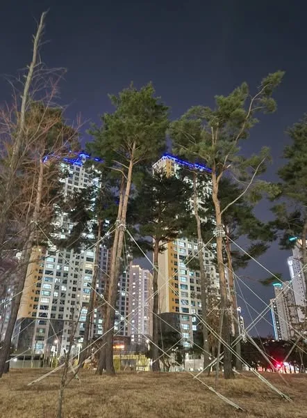 497965432_2710971789292498_3901179961070065641_n.jpg?stp=dst-jpg_s600x600_tt6&_nc_cat=110&ccb=1-7&_nc_sid=127cfc&_nc_ohc=XEvBL9BrOaIQ7kNvwERGPqV&_nc_oc=AdkfpJTfuiaK6EmCioiw8grl5bkwqKjSmtx1g6A0J6lGqITKpfx4XR_QHshXnPzsg00&_nc_zt=23&_nc_ht=scontent-icn2-1.xx&_nc_gid=c9uBUjU0H2nLfxV9qhAjbg&oh=00_AfXrnxfmvak2xcxvvTu0kKovR6437dxApi8aQO7lH1swMQ&oe=689A7CDB